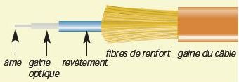 IPtis explique la fibre